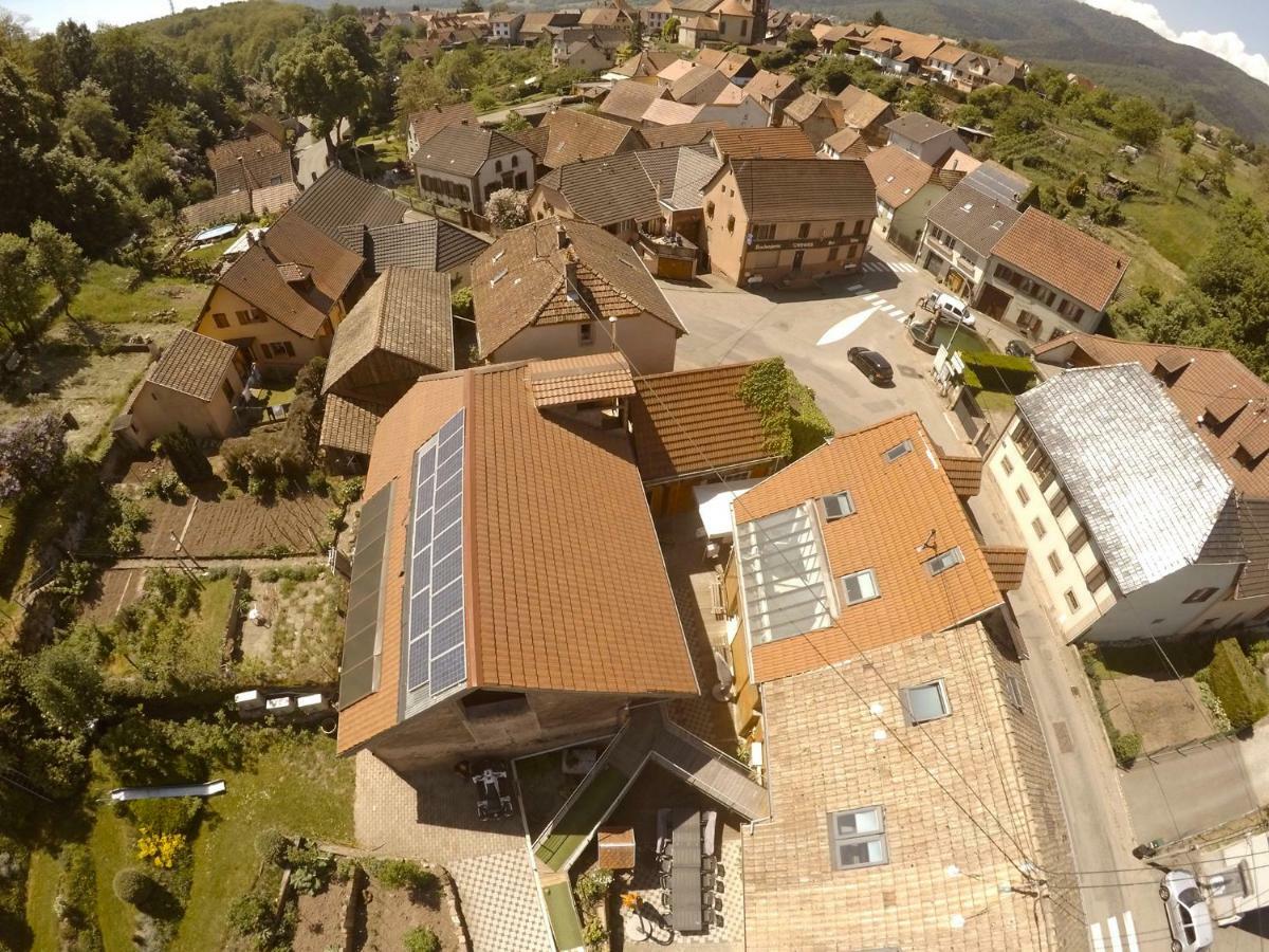 Le Domaine Du Verger, Chambres D'Hotes Osenbach Eksteriør bilde